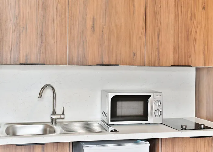 Opera Garnier -paris - Ii パリ